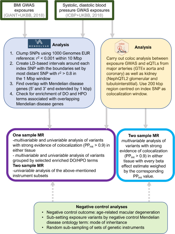 Pathway- vs tissue-partitioned MR, simplified schematic.